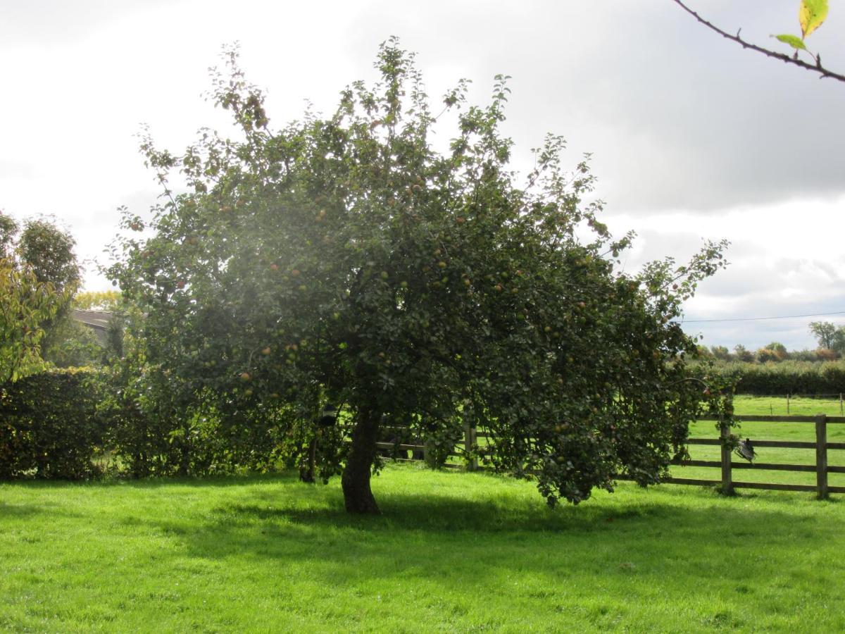 Bed and Breakfast Weston Hill Farm Moreton Pinkney Екстер'єр фото
