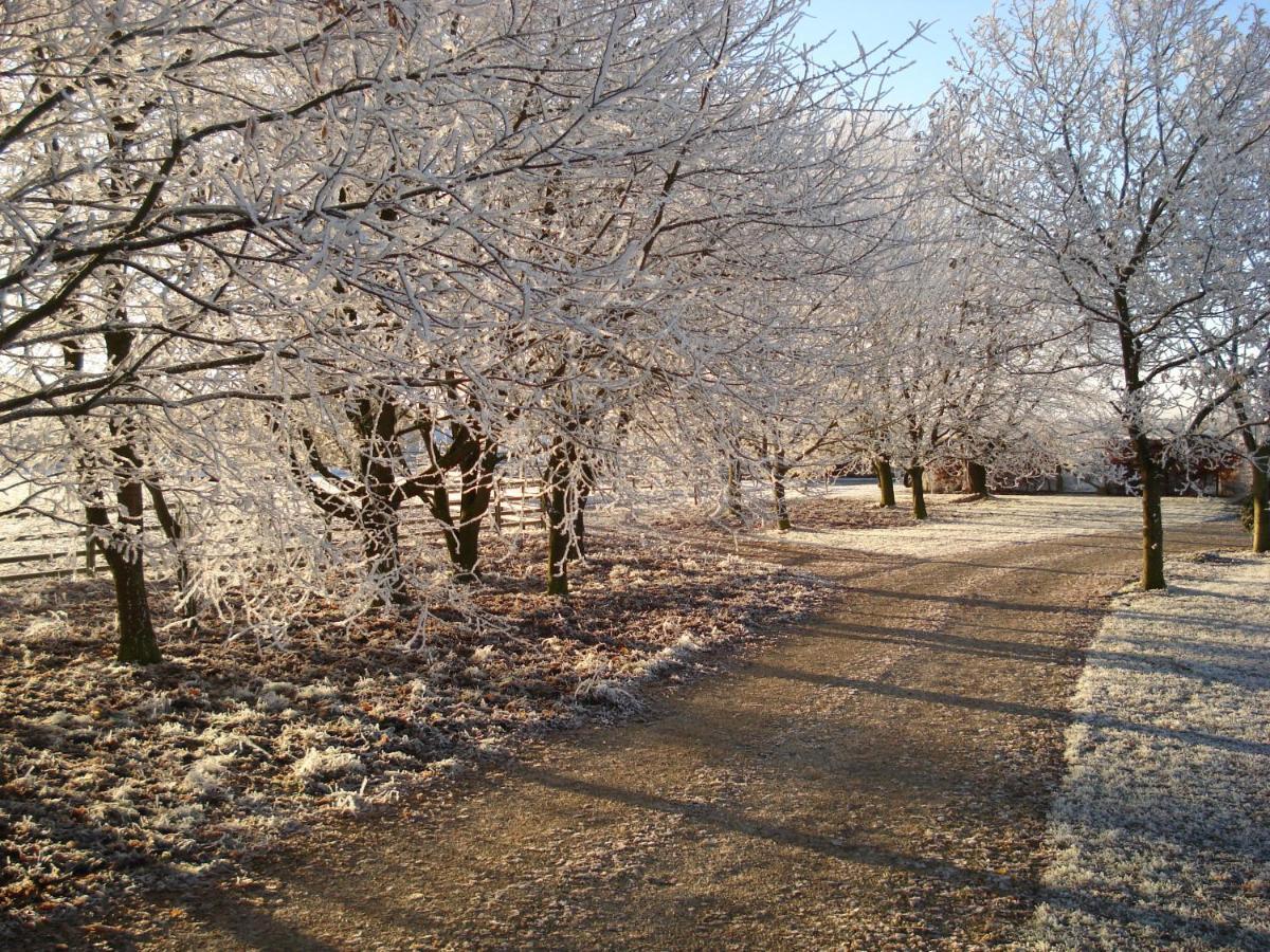 Bed and Breakfast Weston Hill Farm Moreton Pinkney Екстер'єр фото