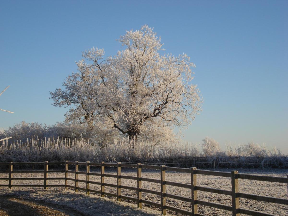 Bed and Breakfast Weston Hill Farm Moreton Pinkney Екстер'єр фото